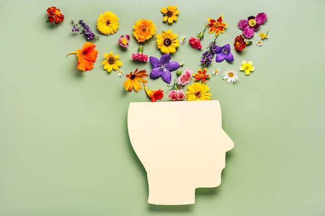 Wellness tips on Mental health and Mindset