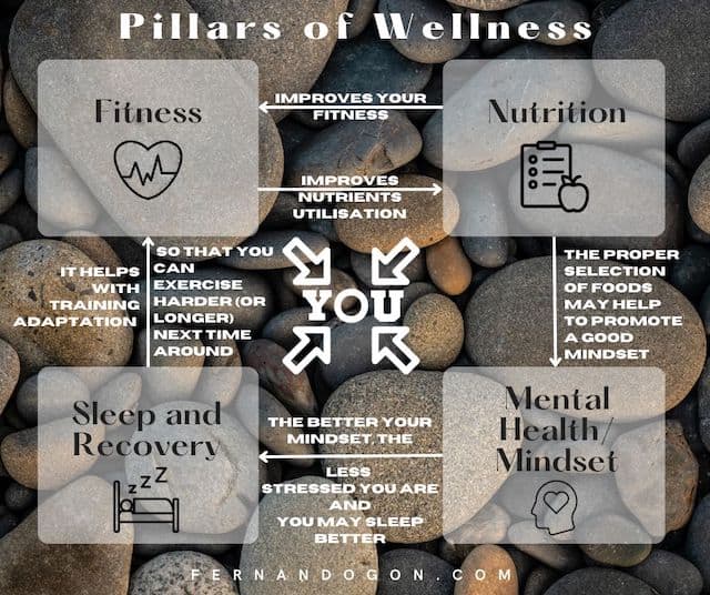 Wellness tips pillars