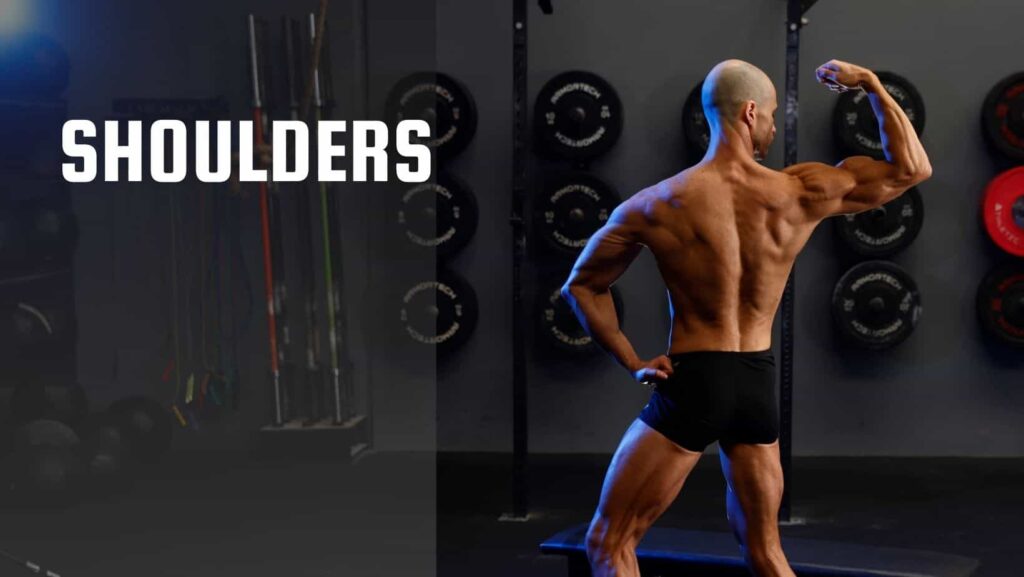 Calisthenics Shoulder Exercises