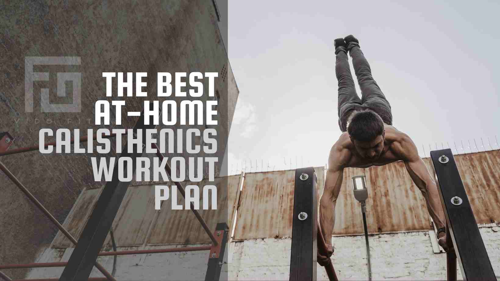 At home calisthenics workout program