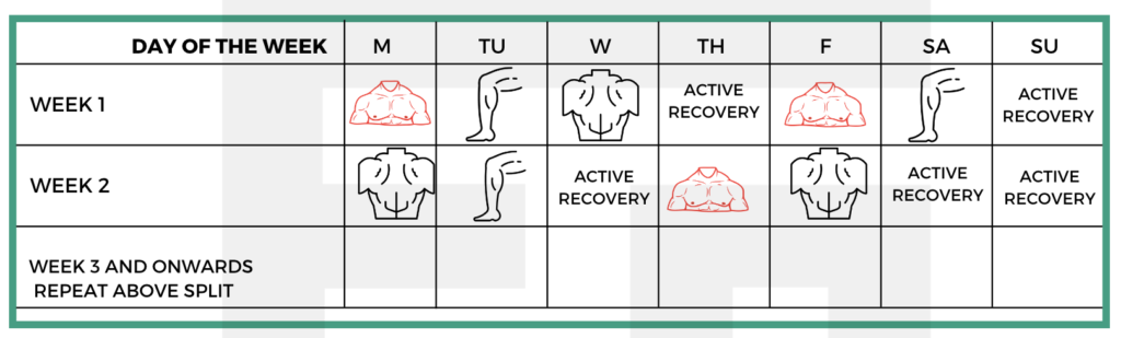 Push Pull Legs 2 weeks split