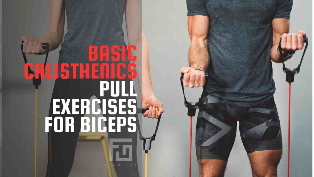 Basic calisthenics for biceps