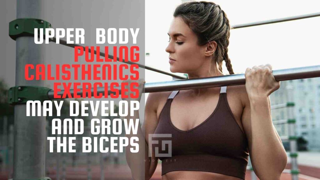 Upper Body Pulling Exercises develop biceps