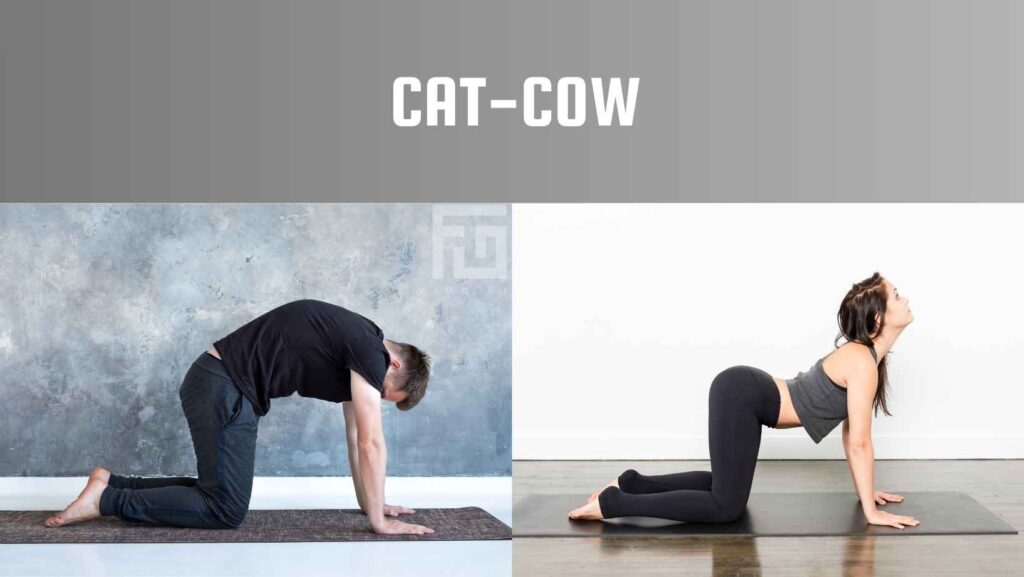 Calisthenics Warm Up - Mobility - Cat Cow