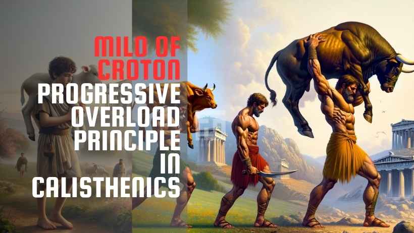 Milo Of Croton Progressive Overload In Calisthenics