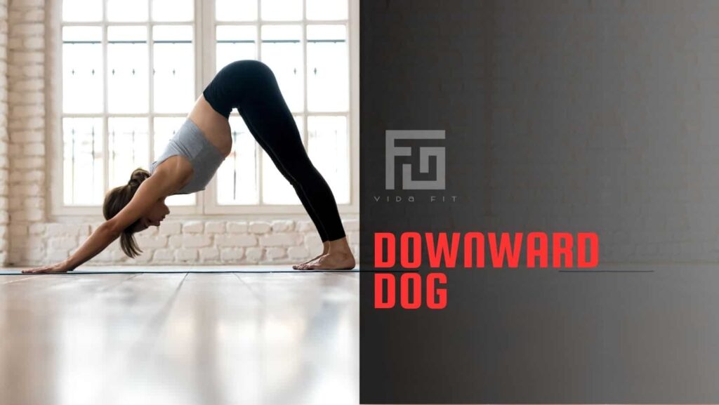 Keep fit at home Yoga Downward dog