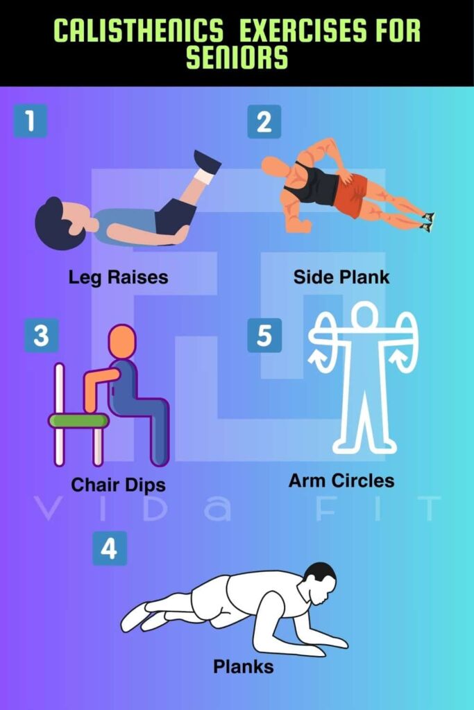 Calisthenics Exercises for Seniors Chair Dips