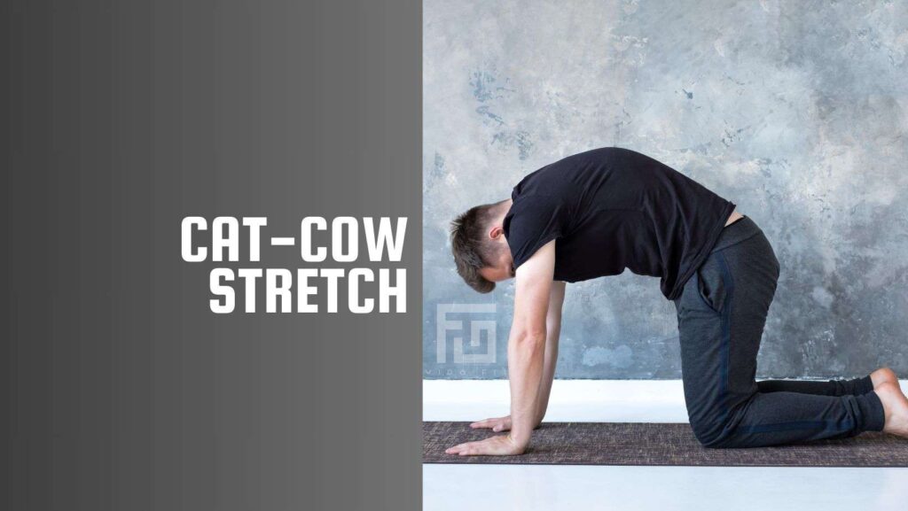 calisthenics flexibility routine Cat-Cow Stretch